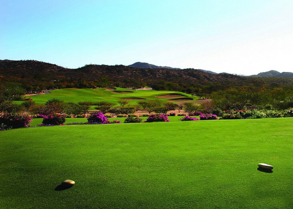 Cabo Real Golf Club-gallery