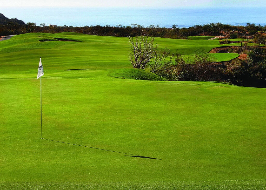 Cabo Real Golf Club-gallery