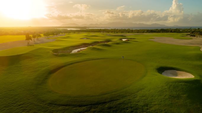 Salamander Collection-gallery