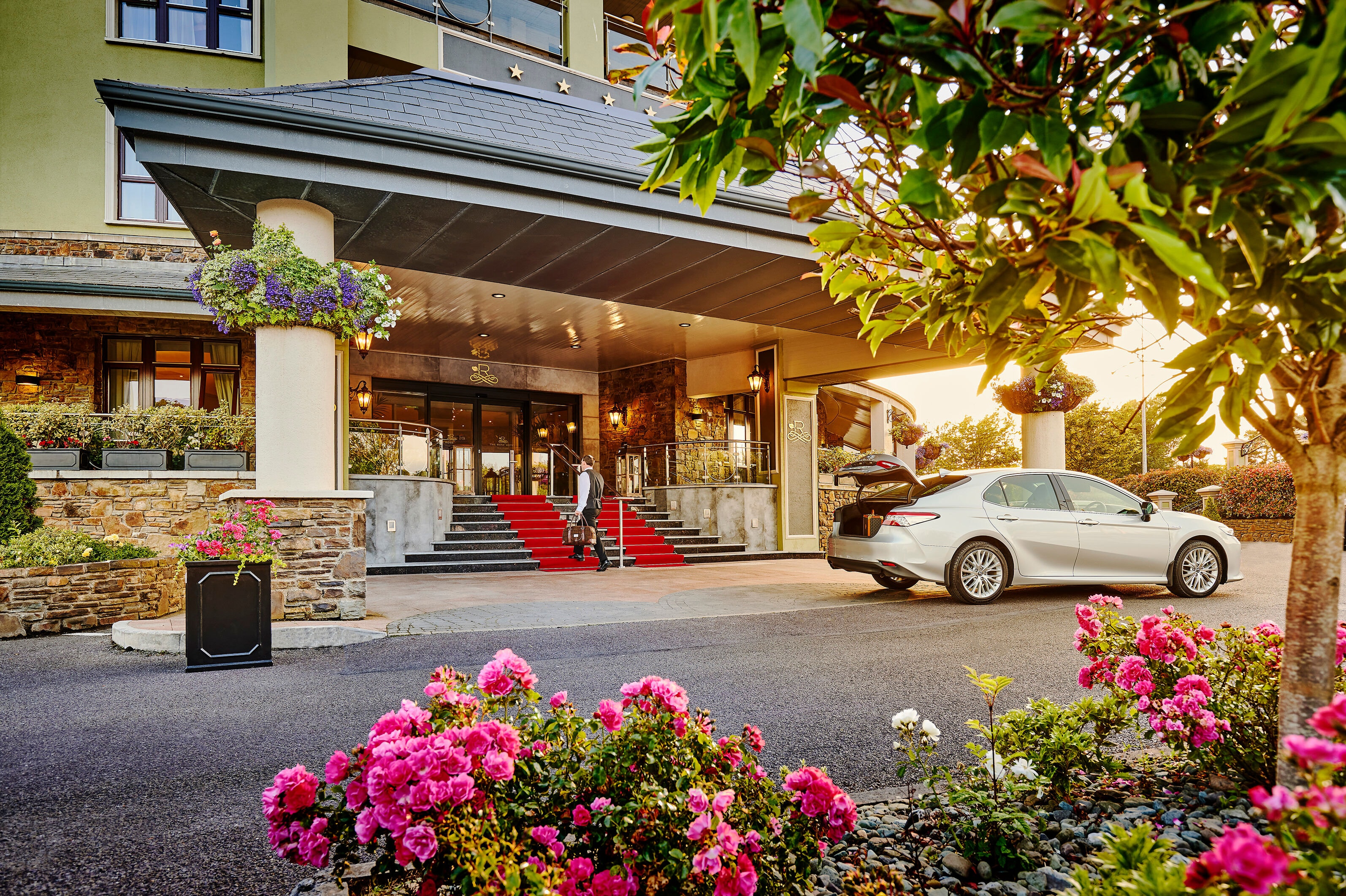 The Rose Hotel-gallery